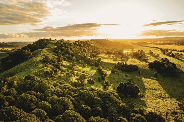 Aerial view of rolling hills with clumps of trees and sun rising making long shadows